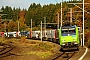 Bombardier 33685 - BLS Cargo "485 016-0"
22.10.2016 - Mattstetten
Peider Trippi