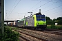 Bombardier 33692 - BLS Cargo "485 019-4"
02.08.2013 - Müllheim (Baden)
Vincent Torterotot