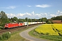 Bombardier 33698 - DB Cargo "185 198-9"
13.05.2016 - Langwedel
Marius Segelke