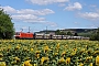 Bombardier 33698 - DB Cargo "185 198-9"
12.07.2022 - Himmelstadt
Denis Sobocinski