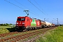 Bombardier 33714 - DB Cargo "185 205-2"
24.05.2023 - Bobenheim-Roxheim
Wolfgang Mauser