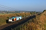 Bombardier 33737 - RBB "185 549-3"
19.08.2020 - Eilsleben
Daniel Berg