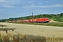 Bombardier 33750 - DB Schenker "185 226-8"
03.08.2013 - Ebersbach (Fils)
Daniel Powalka