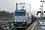 Bombardier 33754 - ITL "185 562-6"
07.02.2013 - Gelsenkirchen-BismarckIngmar Weidig