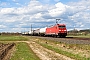 Bombardier 33763 - DB Cargo "185 238-3"
11.04.2021 - Gunzenhausen
Korbinian Eckert