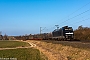 Bombardier 33773 - MRCE Dispolok "185 567-5"
04.03.2022 - Hünfeld-Nüst
Fabian Halsig
