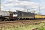 Bombardier 33782 - TXL "185 553-5"
26.06.2012 - Würzburg-Zell
Ralf Lauer