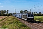 Bombardier 33786 - CCW "185 557-6"
22.09.2021 - Bornheim
Fabian Halsig