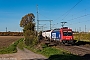 Bombardier 33792 - SBB Cargo "482 039-5"
13.11.2022 - Köln-Porz/Wahn
Fabian Halsig