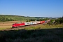 Bombardier 33793 - DB Cargo "185 252-4"
03.09.2021 - WinterhausenKorbinian Eckert