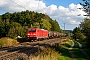 Bombardier 33795 - DB Cargo "185 253-2"
11.09.2020 - Postbauer-Heng
Korbinian Eckert