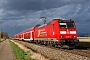 Bombardier 33991 - DB Regio "146 110-2"
01.04.2015 - Niederschopfheim
Yannick Hauser