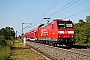 Bombardier 33991 - DB Regio "146 110-2"
23.05.2019 - Buggingen
Tobias Schmidt