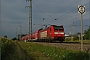Bombardier 33994 - DB Regio "146 113-6"
16.09.2011 - Auggen
Vincent Torterotot