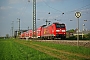 Bombardier 33995 - DB Regio "146 114-4"
13.04.2014 - Auggen
Vincent Torterotot