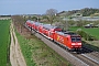 Bombardier 33996 - DB Regio "146 115"
14.04.2018 - Hügelheim
Vincent Torterotot