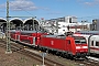 Bombardier 33996 - DB Regio "146 115-1"
11.04.2022 - Kiel, Hauptbahnhof
Tomke Scheel