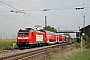 Bombardier 33997 - DB Regio "146 116-9"
28.08.2008 - Auggen
Marcel Langnickel