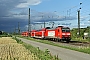 Bombardier 33997 - DB Regio "146 116-9"
18.06.2011 - Niederschopfheim
Jean-Claude MONS