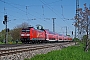 Bombardier 33997 - DB Regio "146 116-9"
06.05.2016 - Müllheim (Baden)
Vincent Torterotot
