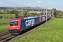 Bombardier 33999 - SBB Cargo "484 005"
06.10.2022 - Oberrüti
Peider Trippi