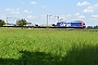 Bombardier 34002 - SBB Cargo "484 004"
20.07.2021 - Oberrüti
Peider Trippi