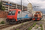 Bombardier 34009 - SBB Cargo "E 484.016 SR"
18.09.2008 - Genoa
Mario Bianchi