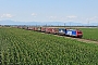 Bombardier 34014 - SBB Cargo "E 484.018 SR"
30.06.2013 - Caltignaga
Francesco Raviglione