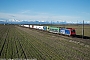 Bombardier 34014 - SBB Cargo "E 484.018 SR"
22.02.2014 - Caltignaga
Francesco Raviglione