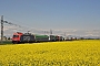 Bombardier 34015 - SBB Cargo "E 484.013 SR"
21.04.2012 - Caltignaga
Alessandro Destasi