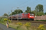 Bombardier 34019 - DB Regio "146 120-1"
27.08.2008 - Rodenbach
Albert Hitfield