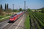 Bombardier 34052 - DB Regio "146 218-3"
30.04.2017 - Müllheim (Baden)Vincent Torterotot