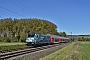 Bombardier 34072 - DB Regio "146 246-4"
14.10.2017 - Retzbach-Zellingen
Mario Lippert