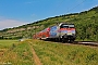 Bombardier 34073 - DB Regio "146 247-2"
15.06.2017 - Thüngersheim
Sven Jonas