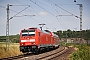 Bombardier 34076 - DB Regio "146 225-8"
20.07.2010 - Lauffen (Neckar)
Sven Hohlfeld