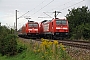 Bombardier 34076 - DB Regio "146 225-8"
16.08.2011 - Ergenzingen
Martin  Priebs