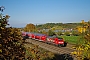 Bombardier 34089 - DB Regio "146 239-9"
22.10.2016 - Hügelheim
Vincent Torterotot