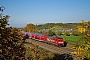 Bombardier 34089 - DB Regio "146 239-9"
22.10.2016 - Hügelheim
Vincent Torterotot