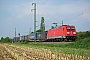 Bombardier 34101 - DB Schenker "185 255-7"
12.08.2015 - Auggen
Vincent Torterotot