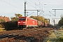 Bombardier 34107 - DB Schenker "185 259-9"
22.10.2010 - Groß-Rohrheim
Harald Belz