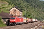 Bombardier 34112 - DB Schenker "185 262-3"
21.06.2014 - Kaub
Martin Weidig