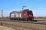 Bombardier 34113 - BBL "482 046-0"
03.03.2025 - Kissing
Michael Stempfle