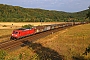 Bombardier 34114 - DB Cargo "185 263-1"
01.09.2022 - Karlstadt-Gambach
Wolfgang Mauser