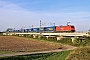 Bombardier 34121 - DB Schenker "185 267-2"
20.09.2012 - Calbe, Saalebrücke
René Große