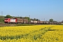 Bombardier 34130 - DB Cargo "185 273-0"
11.05.2017 - Alfeld (Leine)
Kai-Florian Köhn