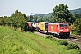 Bombardier 34132 - DB Schenker "185 274-8"
01.08.2014 - Kollmarsreute
Tobias Schmidt