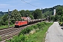 Bombardier 34138 - DB Cargo "185 276-3"
20.07.2017 - Wernstein am Inn
René Große