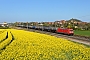 Bombardier 34149 - DB Cargo "185 286-2"
22.04.2020 - Landsberg (Saalekreis)Daniel Berg