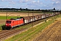 Bombardier 34155 - DB Cargo "185 292-0"
16.07.2024 - Bobenheim-Roxheim
Wolfgang Mauser