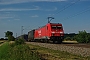 Bombardier 34176 - DB Schenker "185 308-4"
05.07.2011 - Hügelheim
Vincent Torterotot